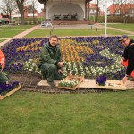 20120320_Horumersiel_Kurgarten_2
