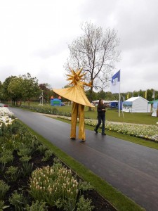 Bild 10