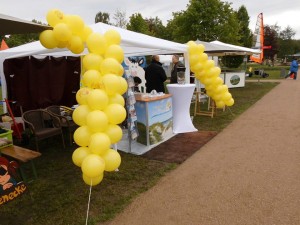 Bild 16