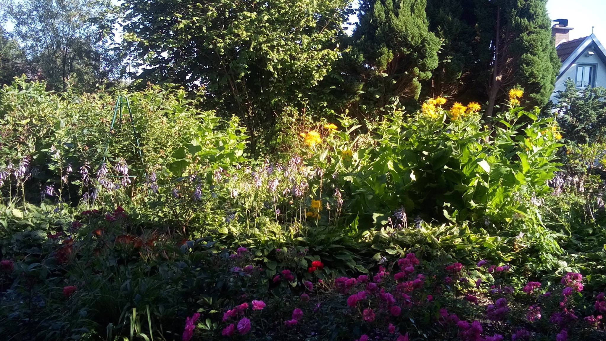 1. Wängerlander Gartenspaziergang – Impressionen