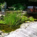1. Wängerlander Gartenspaziergang – Abschlussveranstaltung