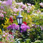 4. Wangerländer Gartenspaziergang